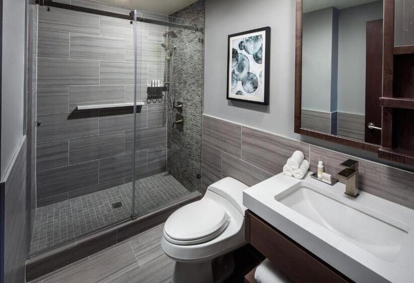 اتاق استاندارد با تخت بزرگ, Indigo Flushing   Laguardia