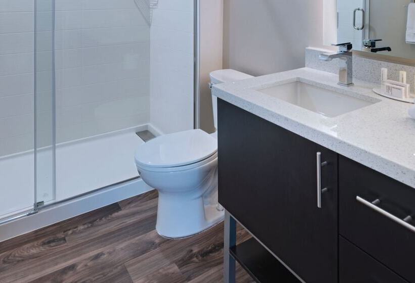 سوییت, Towneplace Suites By Marriott Dallas Dfw Airport North/irving