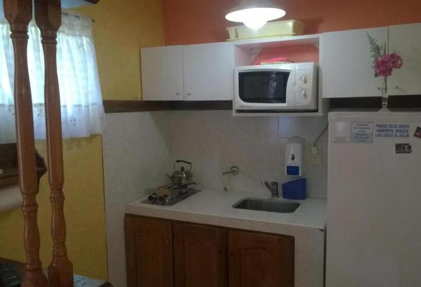 استودیوی استاندارد, Casa Celeste