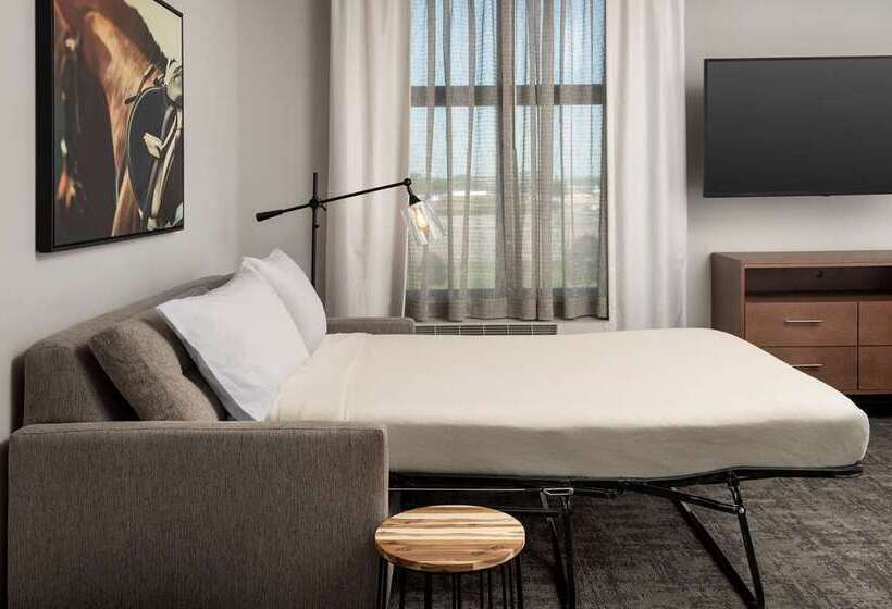 سوییت, Homewood Suites By Hilton Chicago Downtown South Loop