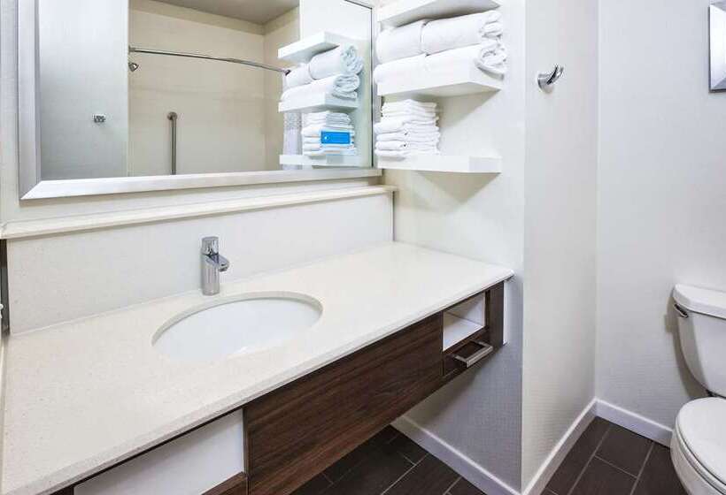 سوییت, Homewood Suites By Hilton Chicago Downtown South Loop