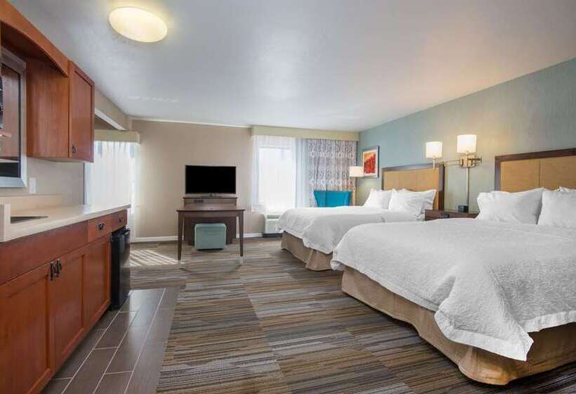 سوییت, Homewood Suites By Hilton Chicago Downtown South Loop