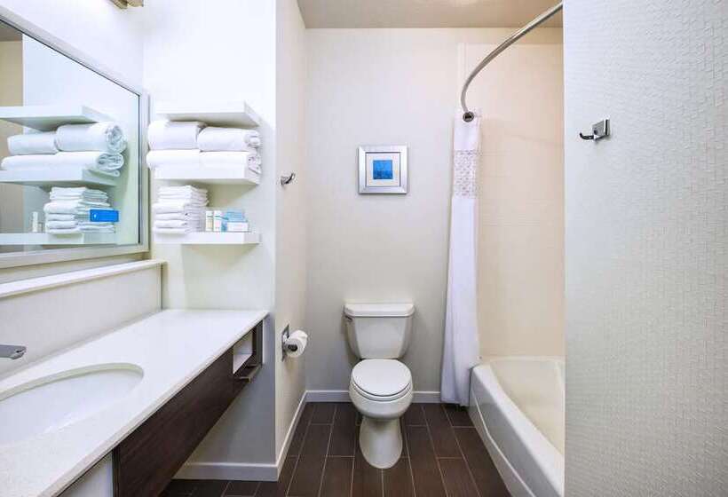 سوییت, Homewood Suites By Hilton Chicago Downtown South Loop