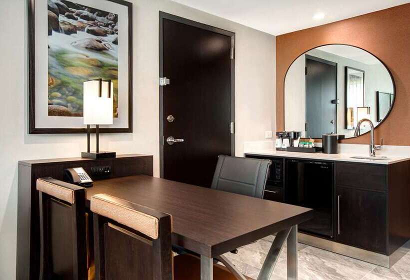 سوییت, Homewood Suites By Hilton Chicago Downtown South Loop