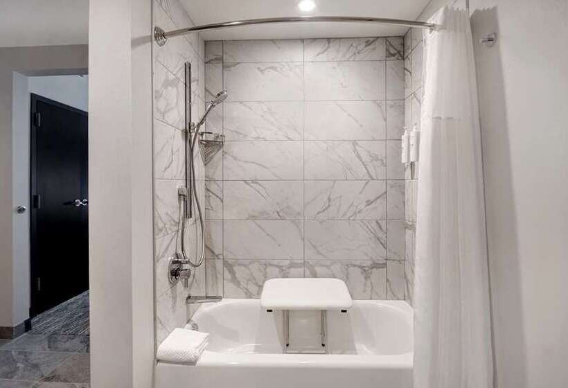 سوییت, Homewood Suites By Hilton Chicago Downtown South Loop