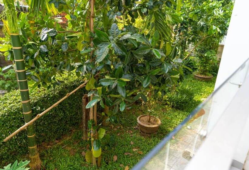 اتاق لوکس, Chi Thanh Villa