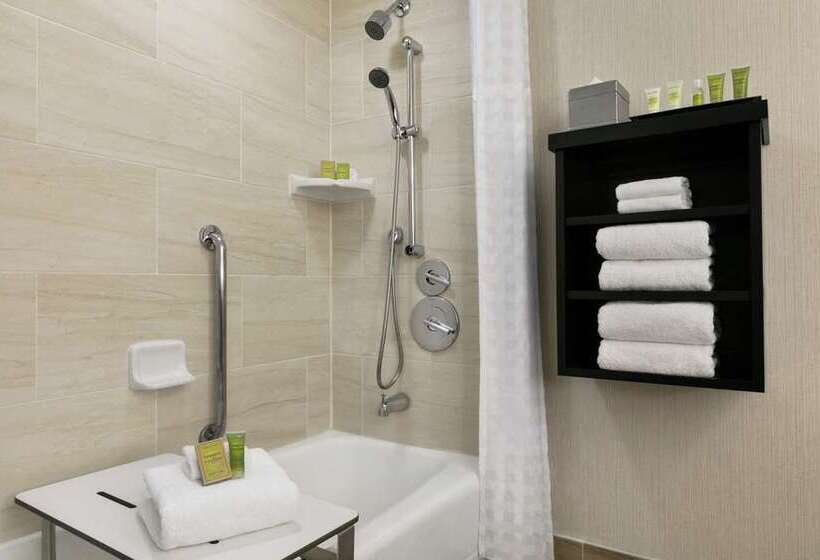 اتاق استاندارد, Hilton Garden Inn Chicago Downtown South Loop