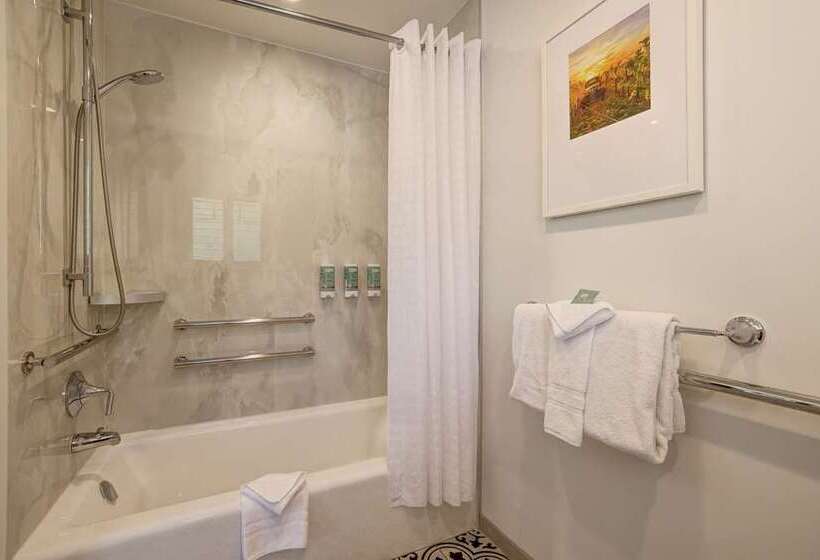 اتاق استاندارد, Hilton Garden Inn Chicago Downtown South Loop