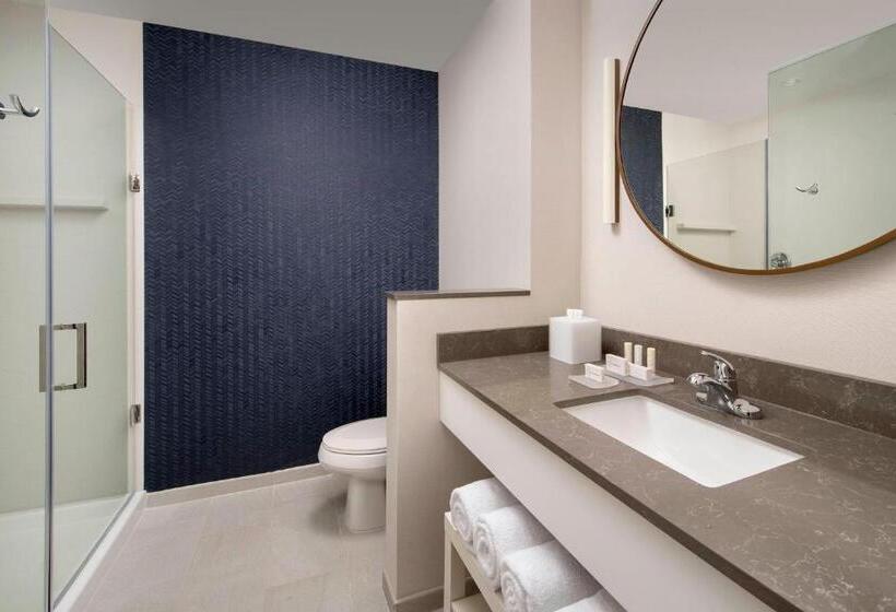اتاق استاندارد با تخت بزرگ, Fairfield Inn & Suites By Marriott New Orleans Metairie