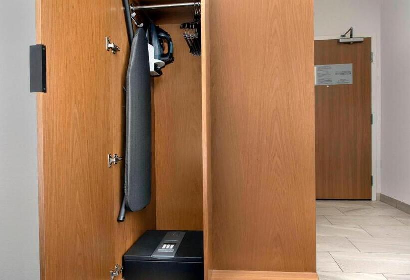 اتاق استاندارد با تخت بزرگ, Fairfield Inn & Suites By Marriott New Orleans Metairie