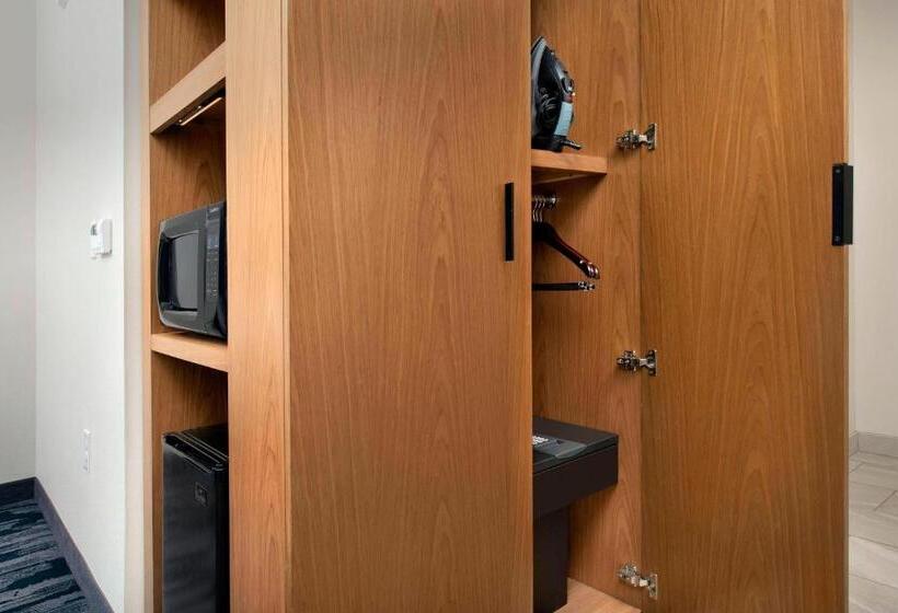 اتاق استاندارد, Fairfield Inn & Suites By Marriott New Orleans Metairie