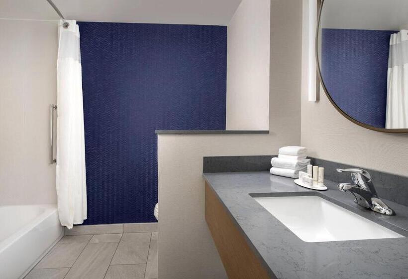 اتاق استاندارد برای معلولان, Fairfield Inn & Suites By Marriott New Orleans Metairie