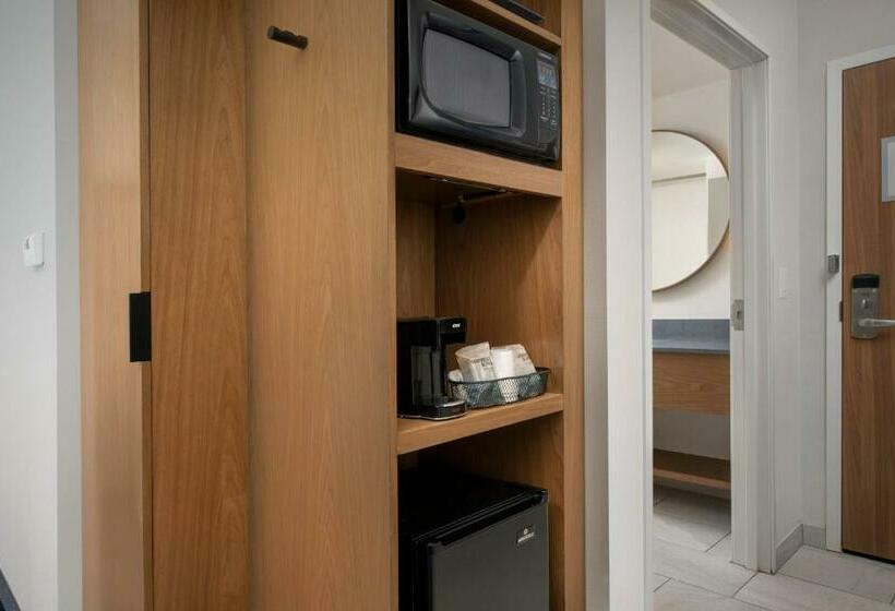 اتاق استاندارد, Fairfield Inn & Suites By Marriott New Orleans Metairie