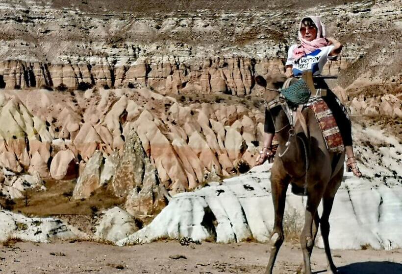 آپارتمان اکونومی 1 خوابه, Young Cave