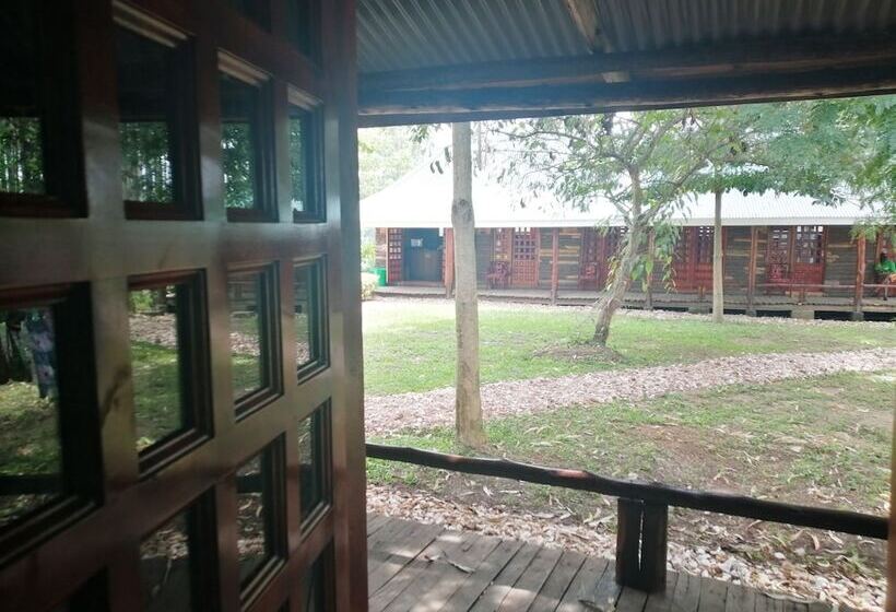 تختخواب در اتاق مشترک, Murchison Backpackers