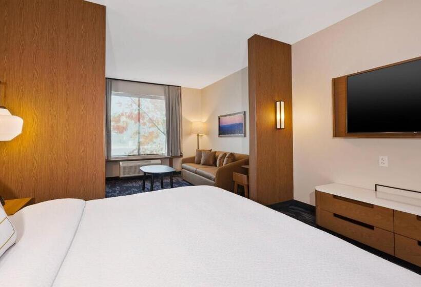 سوئیت با تخت بزرگ, Fairfield Inn & Suites By Marriott Cincinnati Airport South/florence