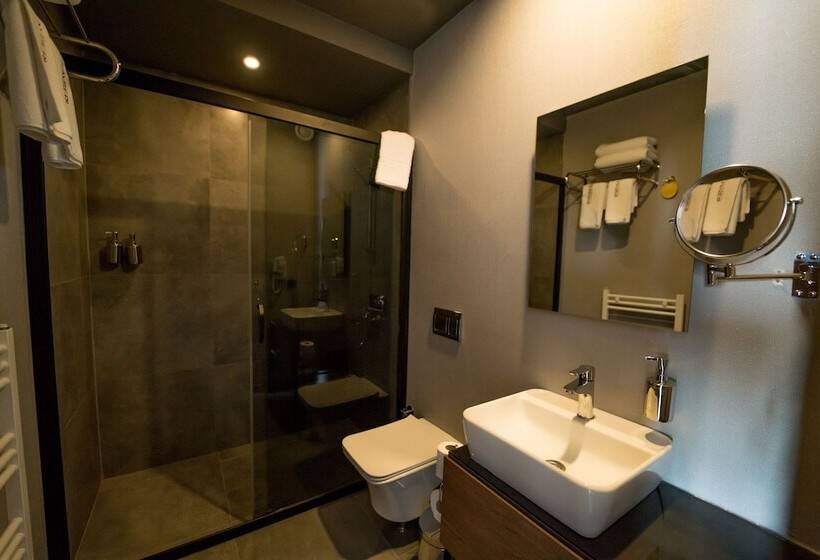 اتاق لوکس خانوادگی, The Kayseri Loft