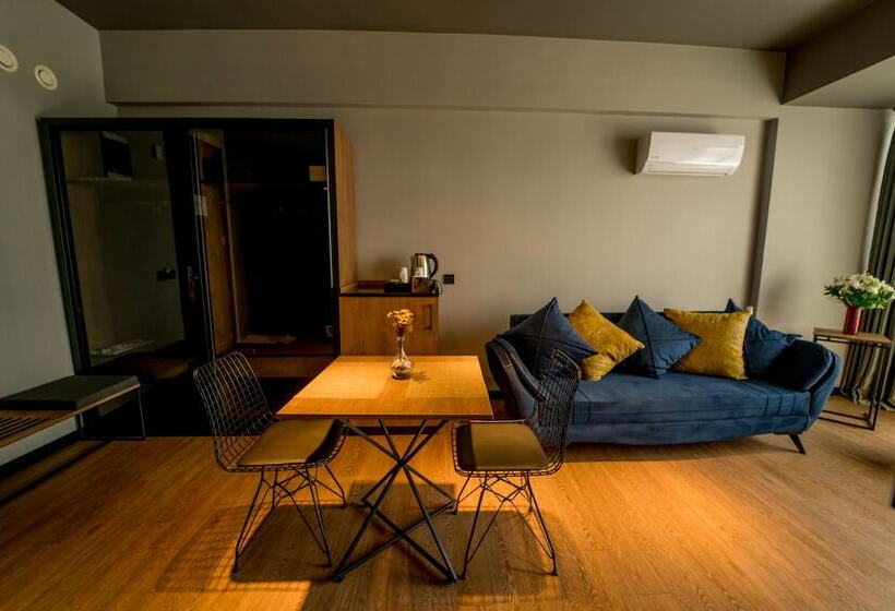 سوئیت جونیور با چشم‌انداز کوهستان, The Kayseri Loft