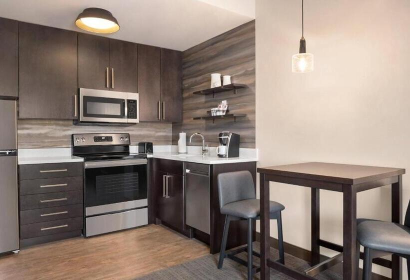 سوئیت با تخت بزرگ, Residence Inn By Marriott Des Moines Ankeny