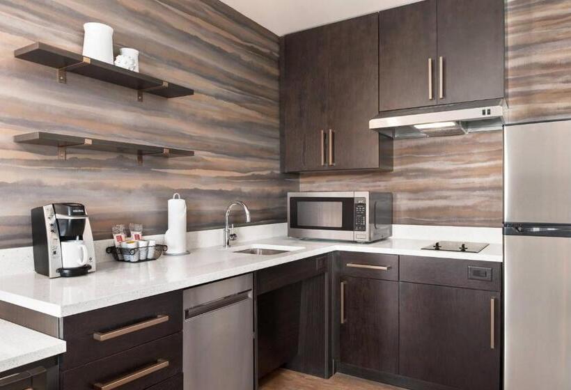 استودیو استاندارد با تخت کینگ, Residence Inn By Marriott Des Moines Ankeny
