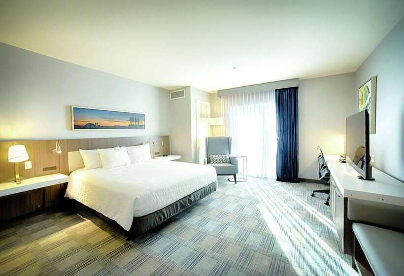 اتاق استاندارد با تخت بزرگ, The Axis Moline Hotel, Tapestry Collection By Hilton