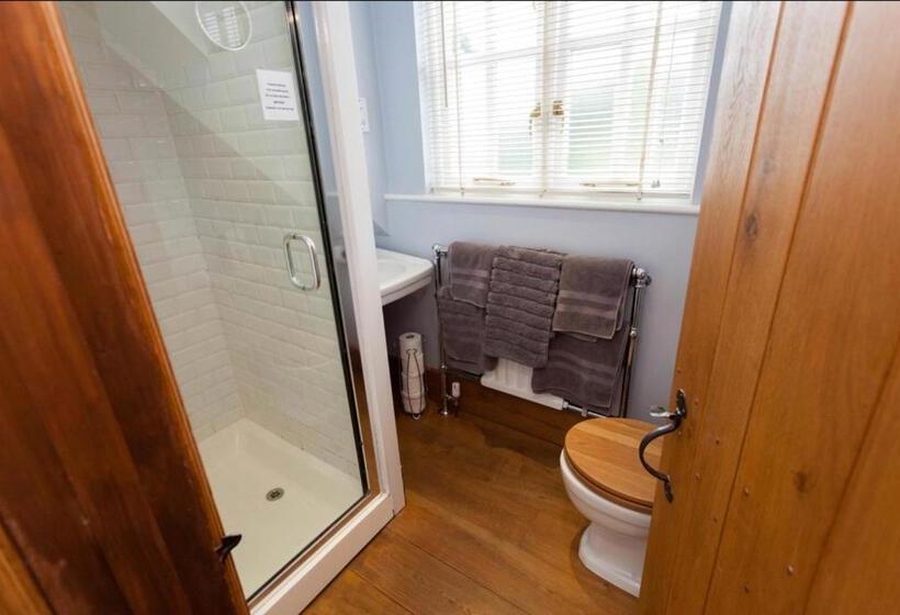 اتاق سوپریور با تخت بزرگ, Hanger Down House Bed And Breakfast