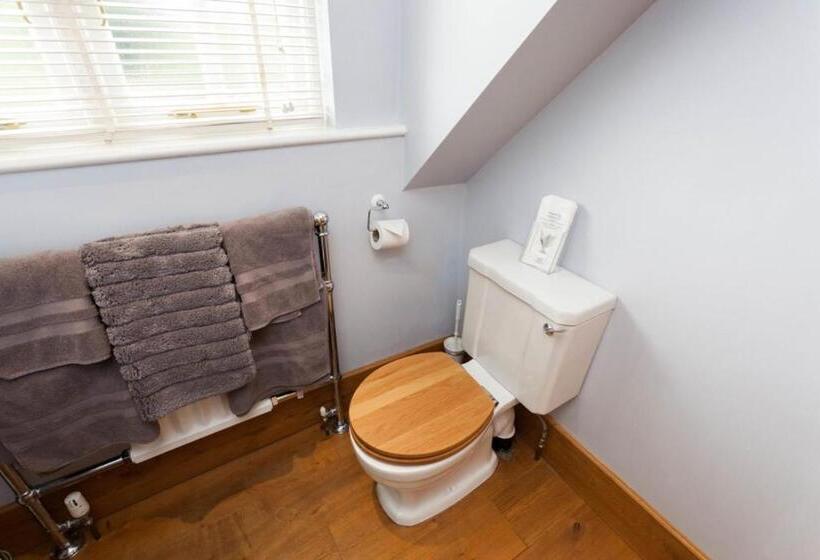 اتاق سوپریور با تخت بزرگ, Hanger Down House Bed And Breakfast