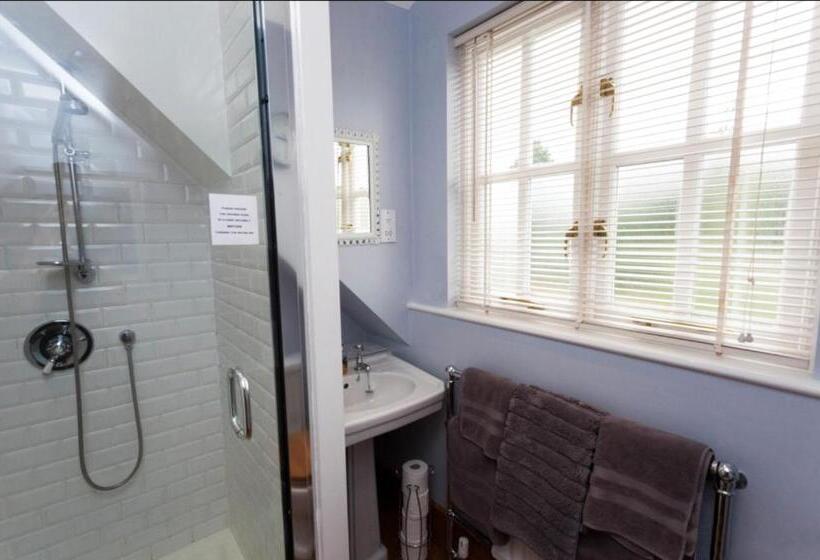 اتاق سوپریور با تخت بزرگ, Hanger Down House Bed And Breakfast