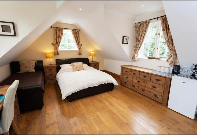 اتاق سوپریور با تخت بزرگ, Hanger Down House Bed And Breakfast