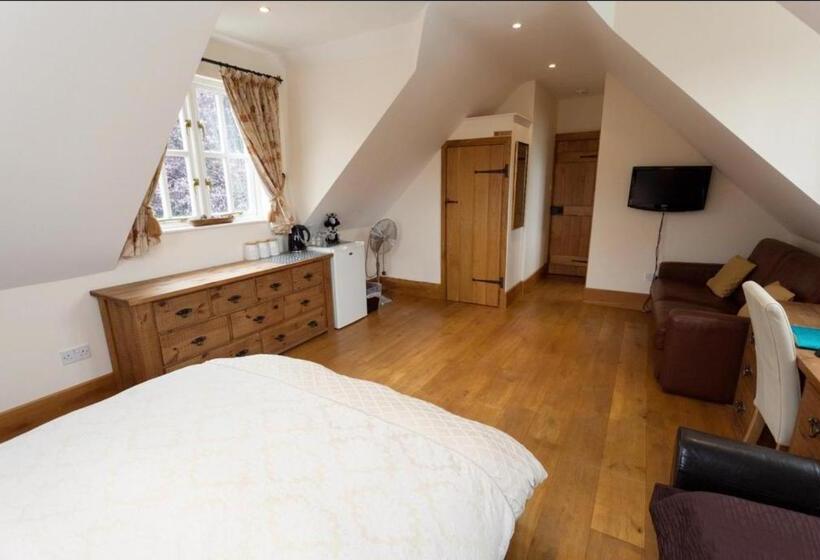 اتاق سوپریور با تخت بزرگ, Hanger Down House Bed And Breakfast