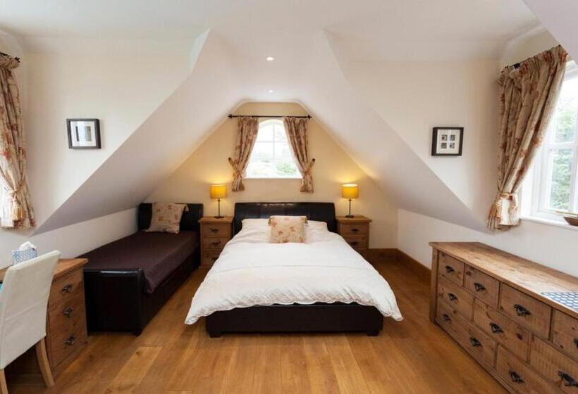 اتاق سوپریور با تخت بزرگ, Hanger Down House Bed And Breakfast