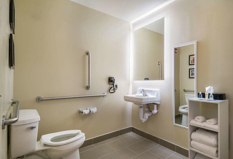 اتاق استاندارد با تخت دوبل برای معلولان, Comfort Inn & Suites Harrisburg  Hershey West