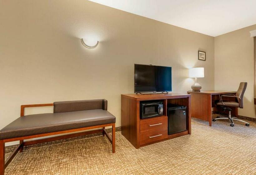 اتاق استاندارد با تخت بزرگ, Comfort Inn & Suites