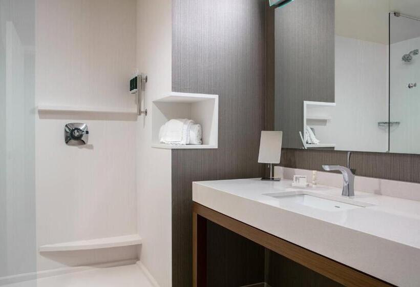 اتاق استاندارد با تخت بزرگ, Courtyard Sioux City Downtown/convention Center