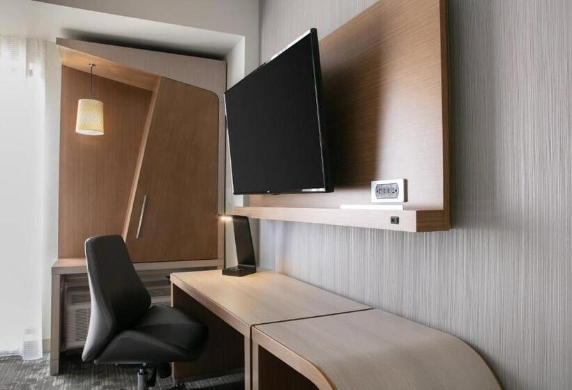اتاق استاندارد با تخت بزرگ, Courtyard Sioux City Downtown/convention Center