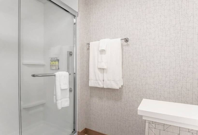 سوئیت برای معلولان, Holiday Inn Express & Suites Chicago O Hare Airport, An Ihg