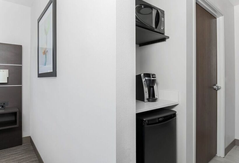 سوئیت برای معلولان, Holiday Inn Express & Suites Chicago O Hare Airport, An Ihg