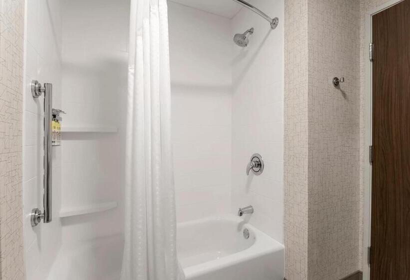 اتاق استاندارد, Holiday Inn Express & Suites Chicago O Hare Airport, An Ihg