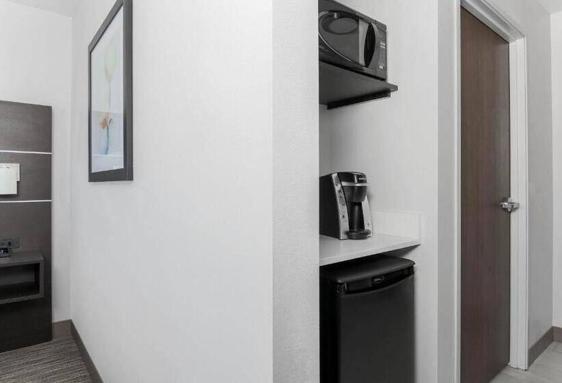 سوییت, Holiday Inn Express & Suites Chicago O Hare Airport, An Ihg
