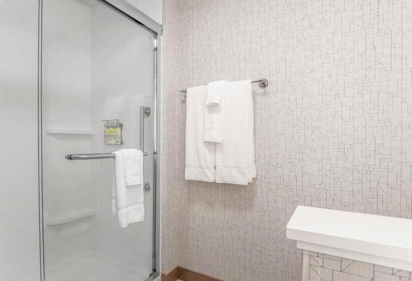 اتاق استاندارد با تخت بزرگ برای معلولان, Holiday Inn Express & Suites Chicago O Hare Airport, An Ihg