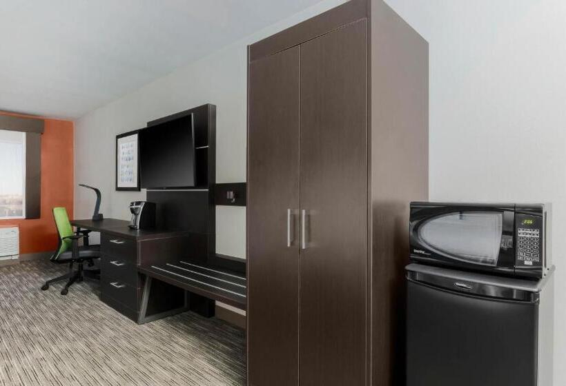 اتاق دلوکس مخصوص معلولین, Holiday Inn Express & Suites Chicago O Hare Airport, An Ihg