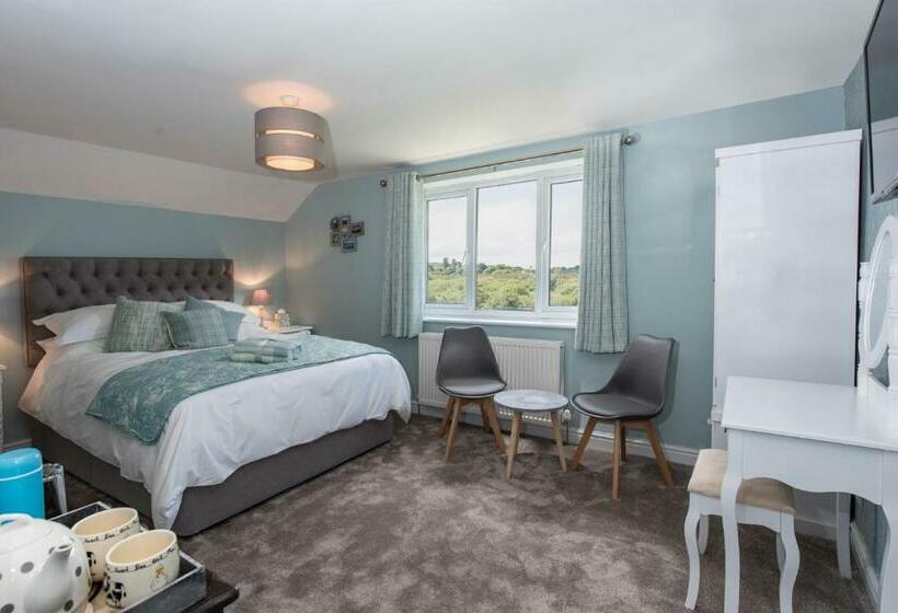 اتاق استاندارد با تخت بزرگ, Tyn Llain B&b
