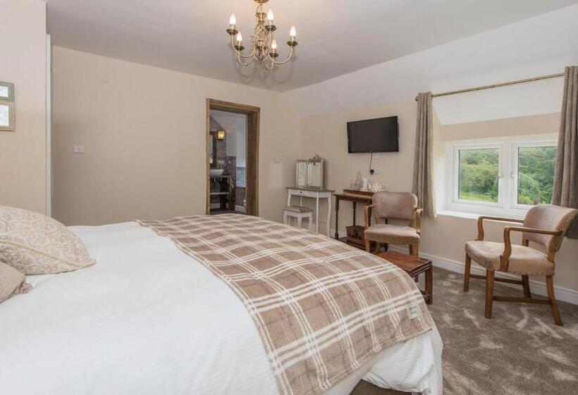 اتاق لوکس با تخت بزرگ, Tyn Llain B&b