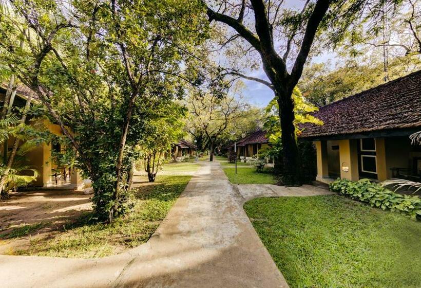高级大房间, Habarana Village By Cinnamon