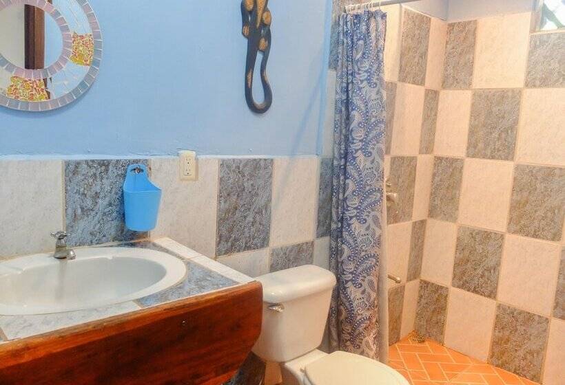 اتاق اکونومی, Casa Moabi