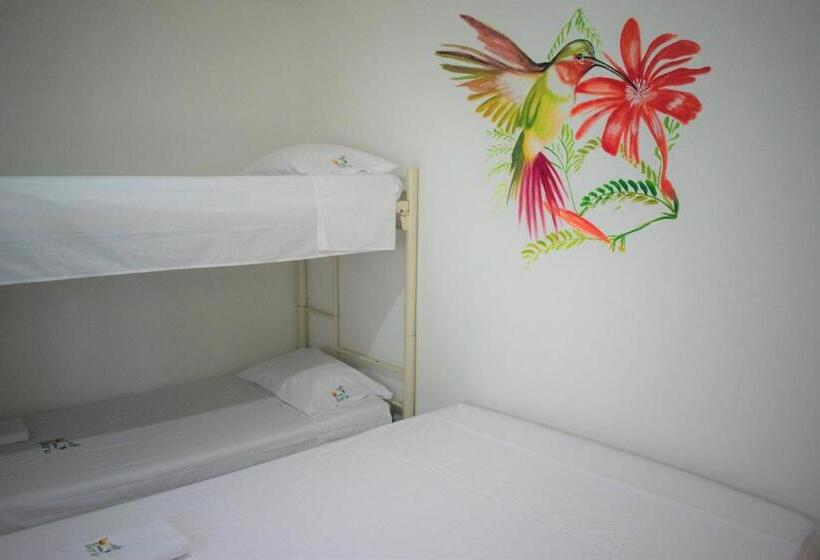 اتاق استاندارد چهار تخته, Casa Ilaria