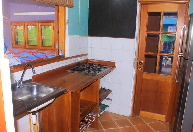 آپارتمان سوپریور 1 خوابه با چشم‌انداز دریا, Tayrona Colors Hostel