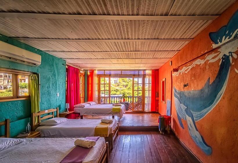 آپارتمان سوپریور 1 خوابه با چشم‌انداز دریا, Tayrona Colors Hostel