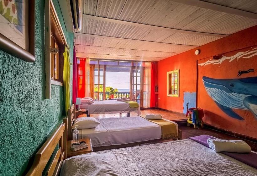 آپارتمان سوپریور 1 خوابه با چشم‌انداز دریا, Tayrona Colors Hostel