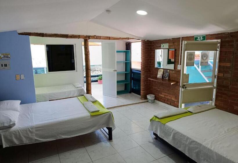 اتاق خانوادگی با چشم‌انداز دریا, Tayrona Colors Hostel